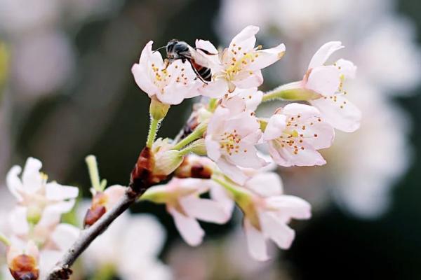 15天內(nèi)退保險(xiǎn)要辦什么手續(xù)什么？要注意什么問題？