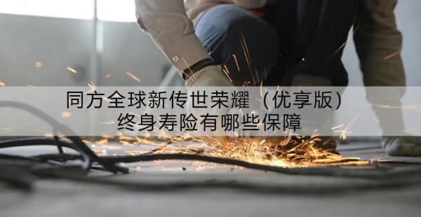 同方全球新傳世榮耀（優(yōu)享版）終身壽險有哪些保障？值得買嗎？