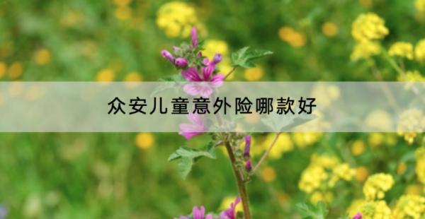 眾安兒童意外險(xiǎn)哪款好？在哪里買？