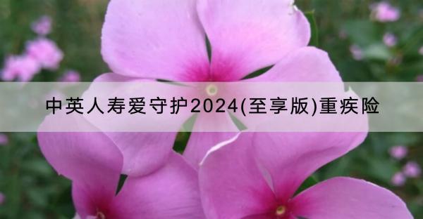 中英人壽愛守護(hù)2024(至享版)重疾險怎么樣？有哪些投保規(guī)則？