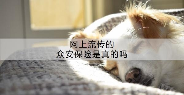 網(wǎng)上流傳的眾安保險是真的嗎？附眾安保險產(chǎn)品推薦！