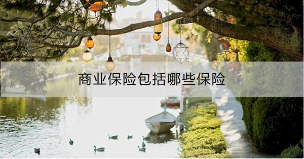 商業(yè)保險包括哪些保險？有什么作用啊？
