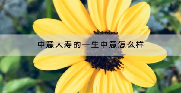 中意人壽的一生中意怎么樣？在哪里買(mǎi)？