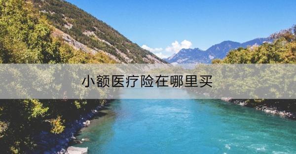 小額醫(yī)療險(xiǎn)在哪里買？特點(diǎn)有哪些?。?/>
                                            </div>
                                        </a>
                                        <div   id=