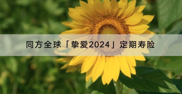 同方全球「摯愛(ài)2024」定期壽險(xiǎn)有哪些投保規(guī)則？在哪里購(gòu)買？
