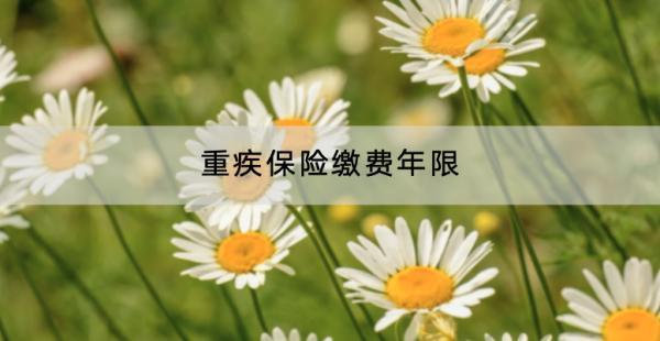 重疾保險(xiǎn)繳費(fèi)年限是多久？怎么選？