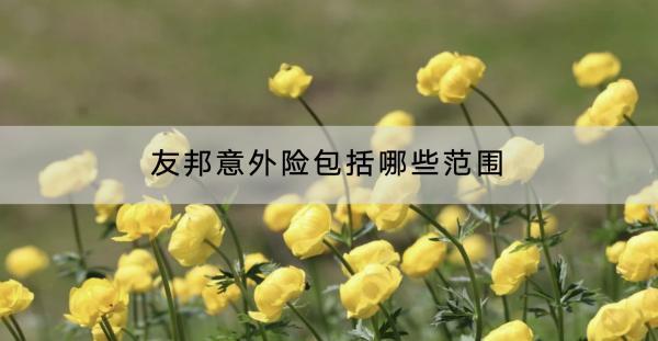 友邦意外險(xiǎn)包括哪些范圍？好不好？