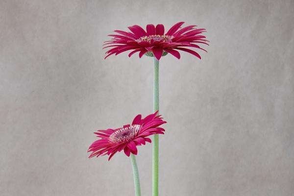 壽險(xiǎn)可以退保么？要怎樣退保？