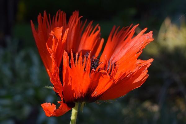 人壽保險(xiǎn)分紅型交滿十年可以退嗎？退保有哪些方式？
