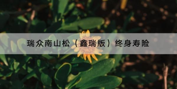 瑞眾南山松（鑫瑞版）終身壽險產(chǎn)品介紹？收益怎么樣？
