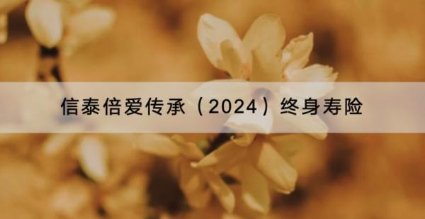 信泰倍愛(ài)傳承（2024）終身壽險(xiǎn)投保要求是什么？有哪些增值服務(wù)？