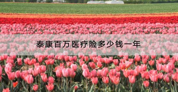 泰康百萬醫(yī)療險多少錢一年？有什么優(yōu)點？