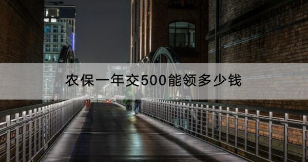 農保一年交500能領多少錢？怎么查詢個人賬戶？