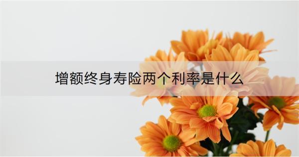 增額終身壽險(xiǎn)兩個(gè)利率是什么？利率是多少啊？