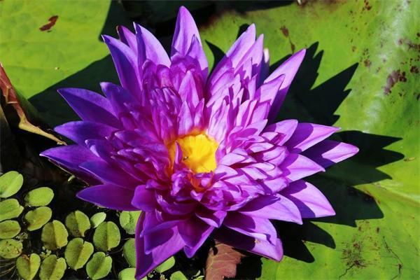 退保險能退回多少錢？流程是什么?。?/>
                                            </div>
                                        </a>
                                        <div   id=