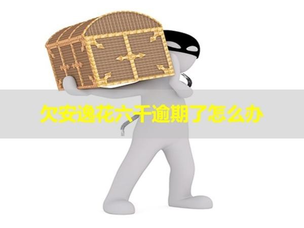 欠安逸花六千逾期了怎么辦？詳細(xì)解析