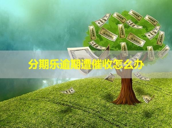 分期樂逾期遭催收怎么辦？這樣處理
