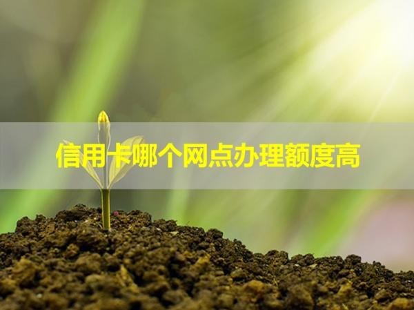 信用卡哪個網(wǎng)點辦理額度高？多種選擇