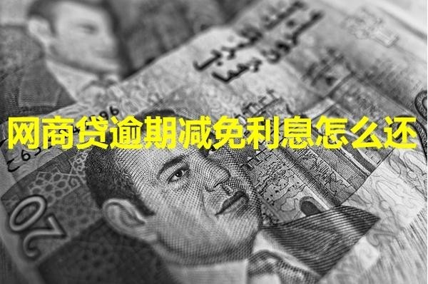 網(wǎng)商貸逾期減免利息怎么還？詳細(xì)解析