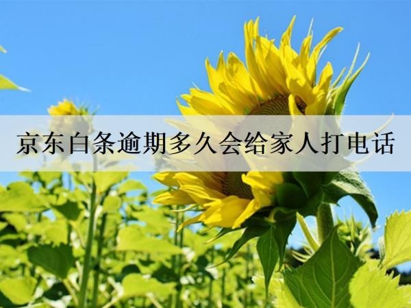 京東白條逾期多久會(huì)給家人打電話？多久不還會(huì)起訴？