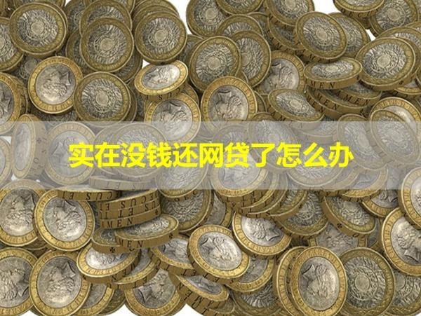 實在沒錢還網(wǎng)貸了怎么辦？看看這里