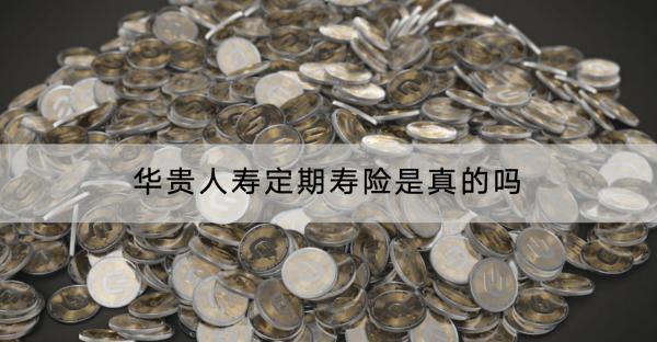 華貴人壽定期壽險(xiǎn)是真的嗎？定期壽險(xiǎn)好不好？