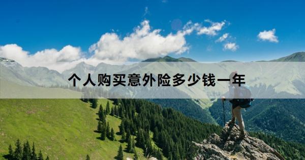 個人購買意外險多少錢一年