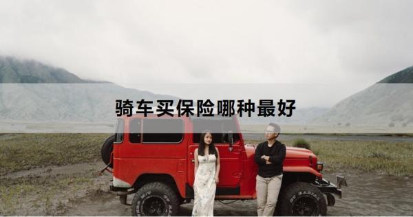 騎車買保險哪種最好