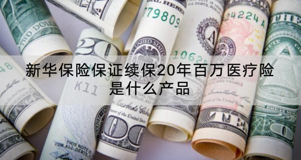 新華保險(xiǎn)保證續(xù)保20年百萬醫(yī)療險(xiǎn)