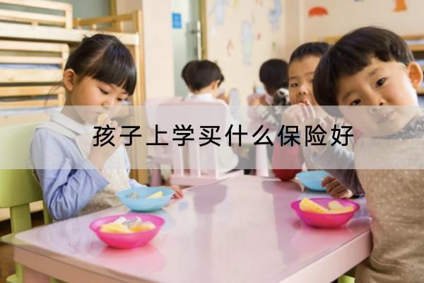 孩子上學(xué)買什么保險(xiǎn)好？可以選擇什么產(chǎn)品？