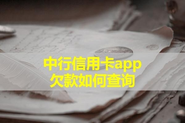 中行信用卡app欠款如何查詢？詳細內(nèi)容