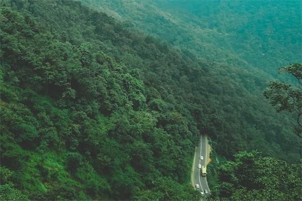 學平險報銷需要什么資料？可報銷哪些費用？