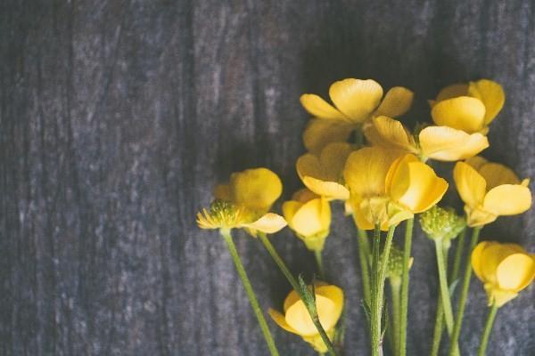 平安一生保退保能退錢嗎？如何辦理平安一生保退保?。?/>
                                            </div>
                                        </a>
                                        <div   id=