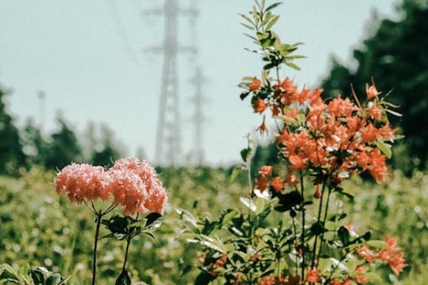 守衛(wèi)者6號(hào)缺點(diǎn)是什么??？投保的要求有哪些？