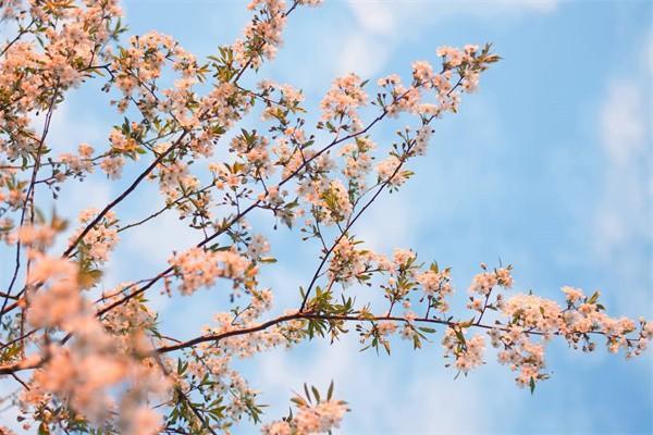 交強(qiáng)險賠償范圍是什么？免責(zé)范圍是什么啊？