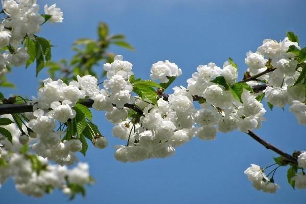 友邦保險(xiǎn)哪些最值得買？友邦保險(xiǎn)要如何投保?。?/>
                                            </div>
                                        </a>
                                        <div   id=