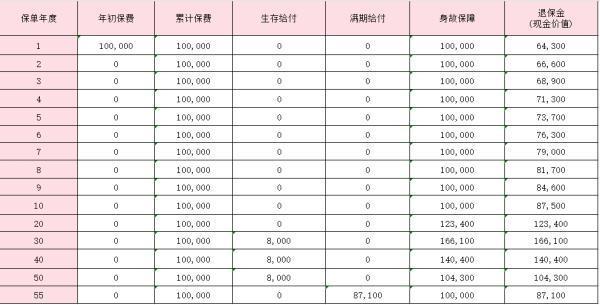 國壽福享E贏養(yǎng)老年金險(互聯(lián)網(wǎng)專屬)怎么樣？領(lǐng)取情況分析？