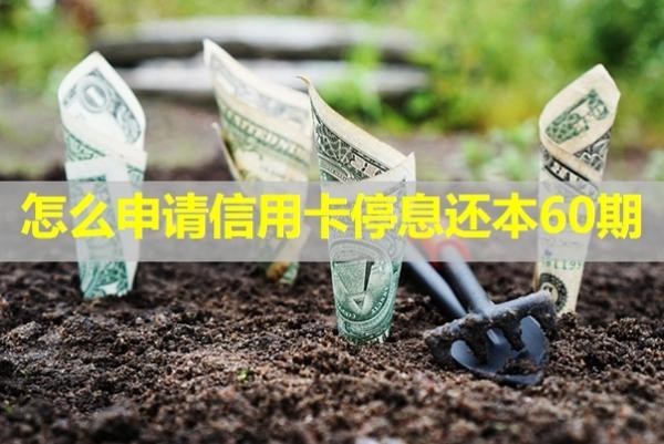 怎么申請信用卡停息還本60期？詳細分析