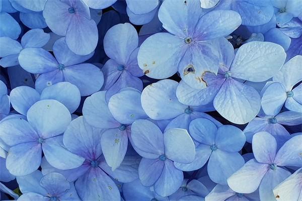 百年人壽保險(xiǎn)怎么樣？?jī)敻赌芰θ绾伟。?/>
                                            </div>
                                        </a>
                                        <div   id=
