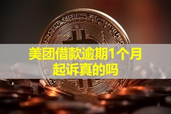 美團(tuán)借款逾期1個(gè)月起訴真的嗎？借款需謹(jǐn)慎