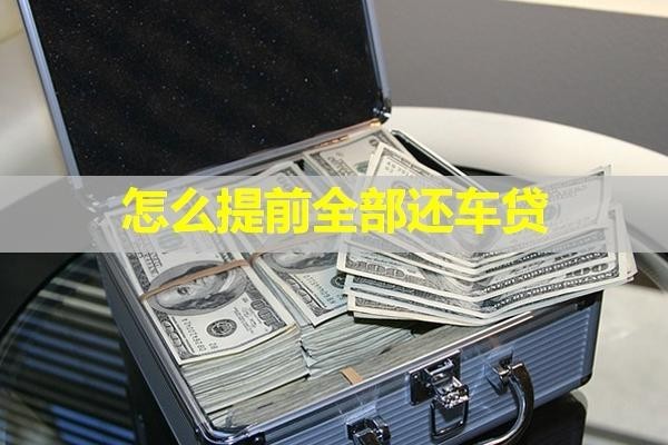 怎么提前全部還車貸？詳細說明