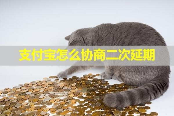 支付寶怎么協(xié)商二次延期？詳細(xì)流程