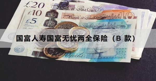 國富人壽國富無憂兩全保險（B 款）產(chǎn)品介紹，基本信息+產(chǎn)品特色