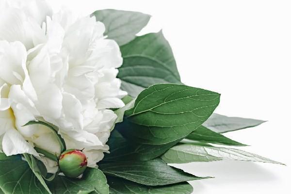 新生兒商業(yè)保險(xiǎn)怎么買合適？一年多少錢啊？