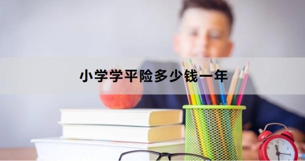 小學學平險多少錢一年？怎么買？