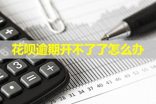 花唄逾期開不了了怎么辦？最新