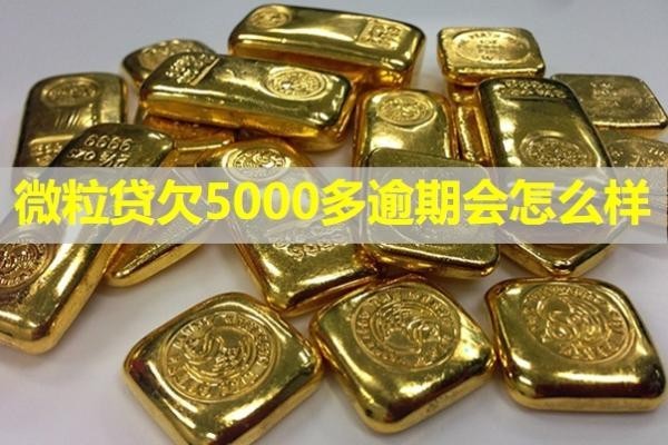 微粒貸欠5000多逾期會(huì)怎么樣？十分嚴(yán)重