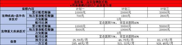 2024年最新熱門(mén)寵物保險(xiǎn)推薦，怎么買(mǎi)？