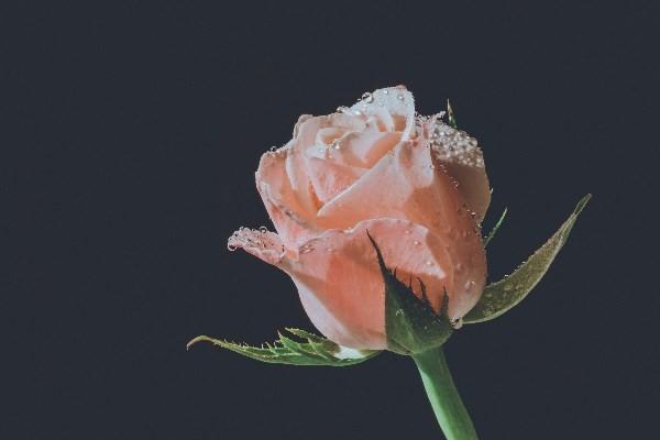 一年交1000元的養(yǎng)老保險60歲到了怎么領??？養(yǎng)老金領取金額怎么計算？