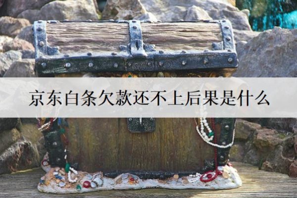 京東白條欠款還不上后果是什么？還不上怎么辦？